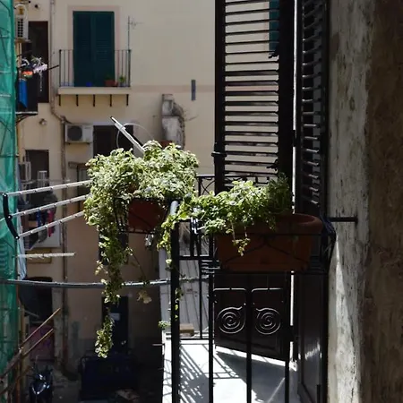 Futtitinni Casamia *