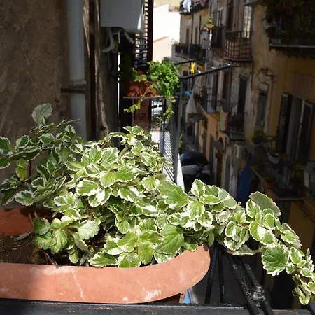 Futtitinni Casamia * 팔레르모