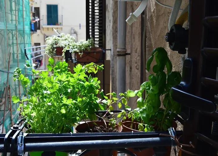 Futtitinni Casamia Lejlighed Palermo